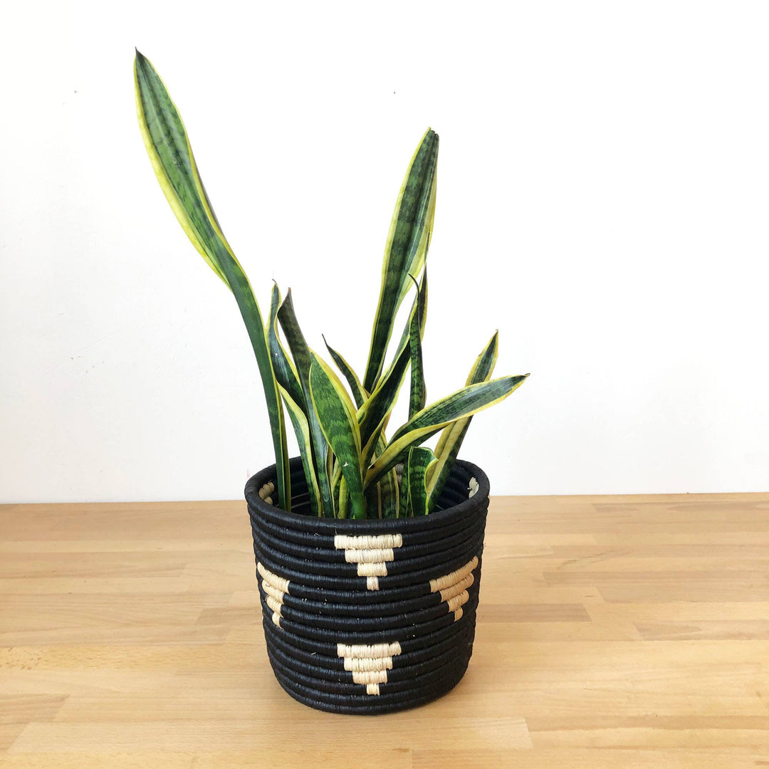 Mwamira Basket Planter