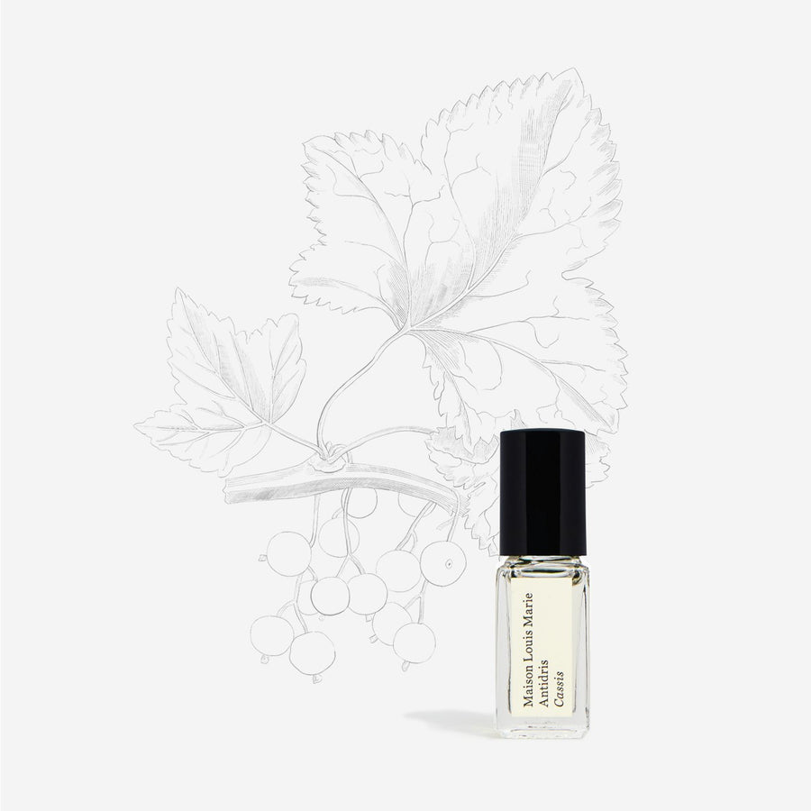 Perfume Oil Sample Antidris Cassis Maison Louis Marie Solstice Holiday Pop Up