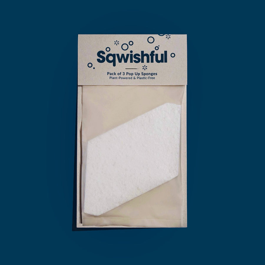 Sqwishful Sponge Sqwishful Solstice Holiday Pop Up