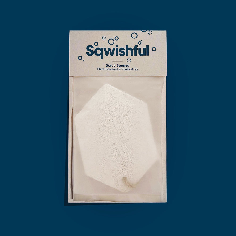 Sqwishful Sponge Sqwishful Solstice Holiday Pop Up