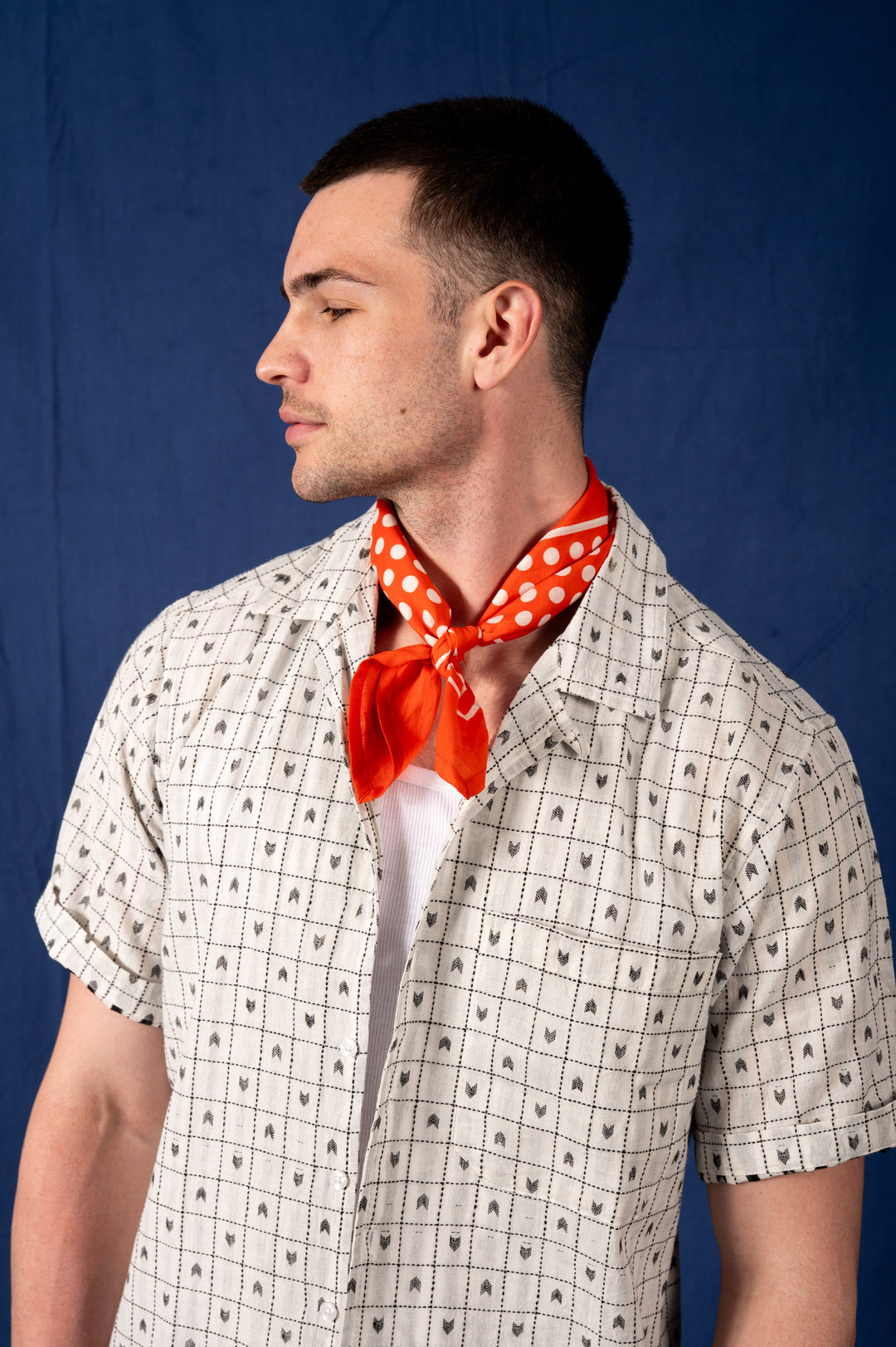 Archie Bandana No. 8 - Red and White Dots