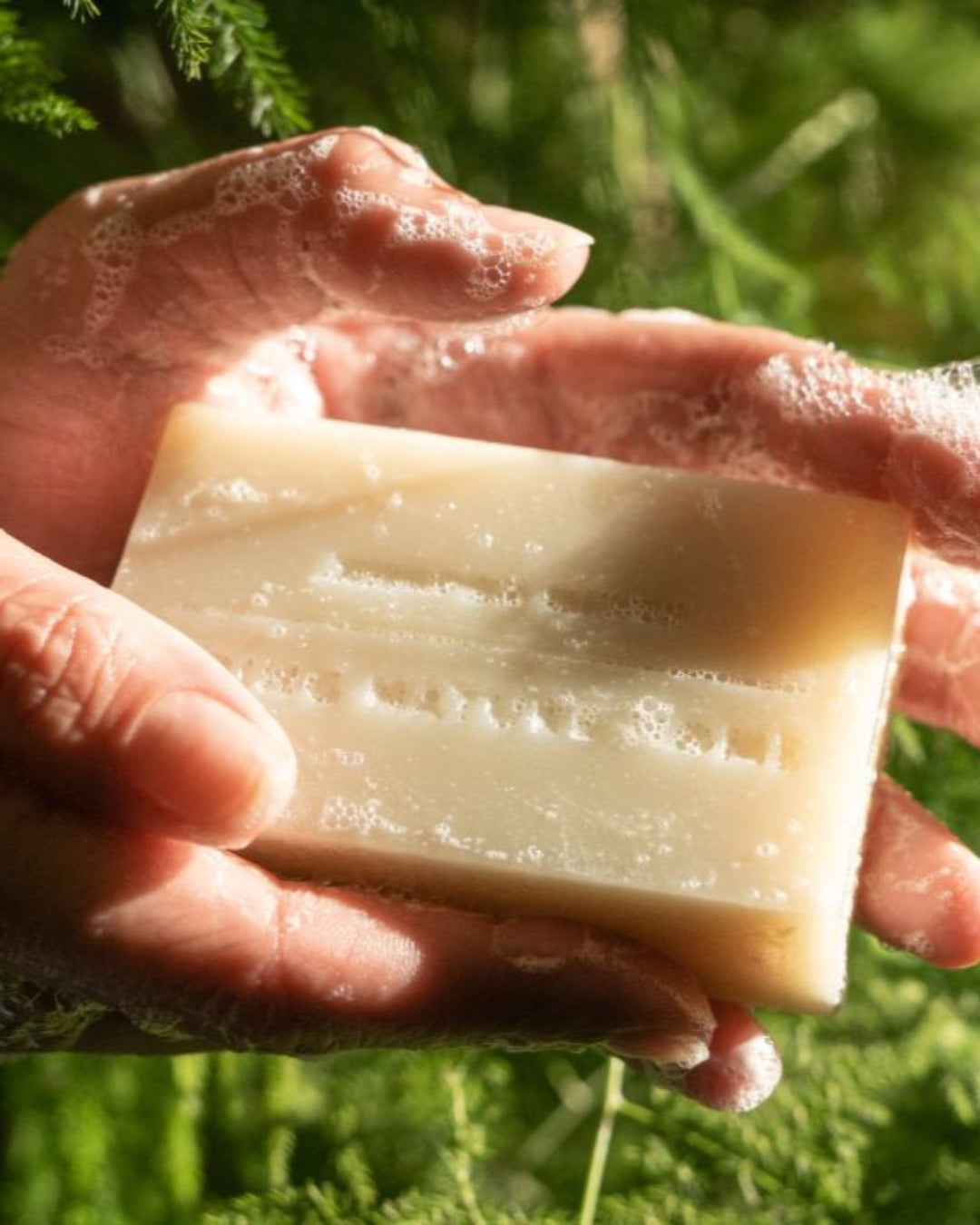 Redwood Mist Bar Soap