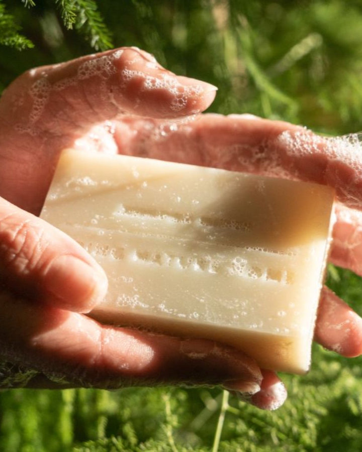 Redwood Mist Bar Soap 3-Pack