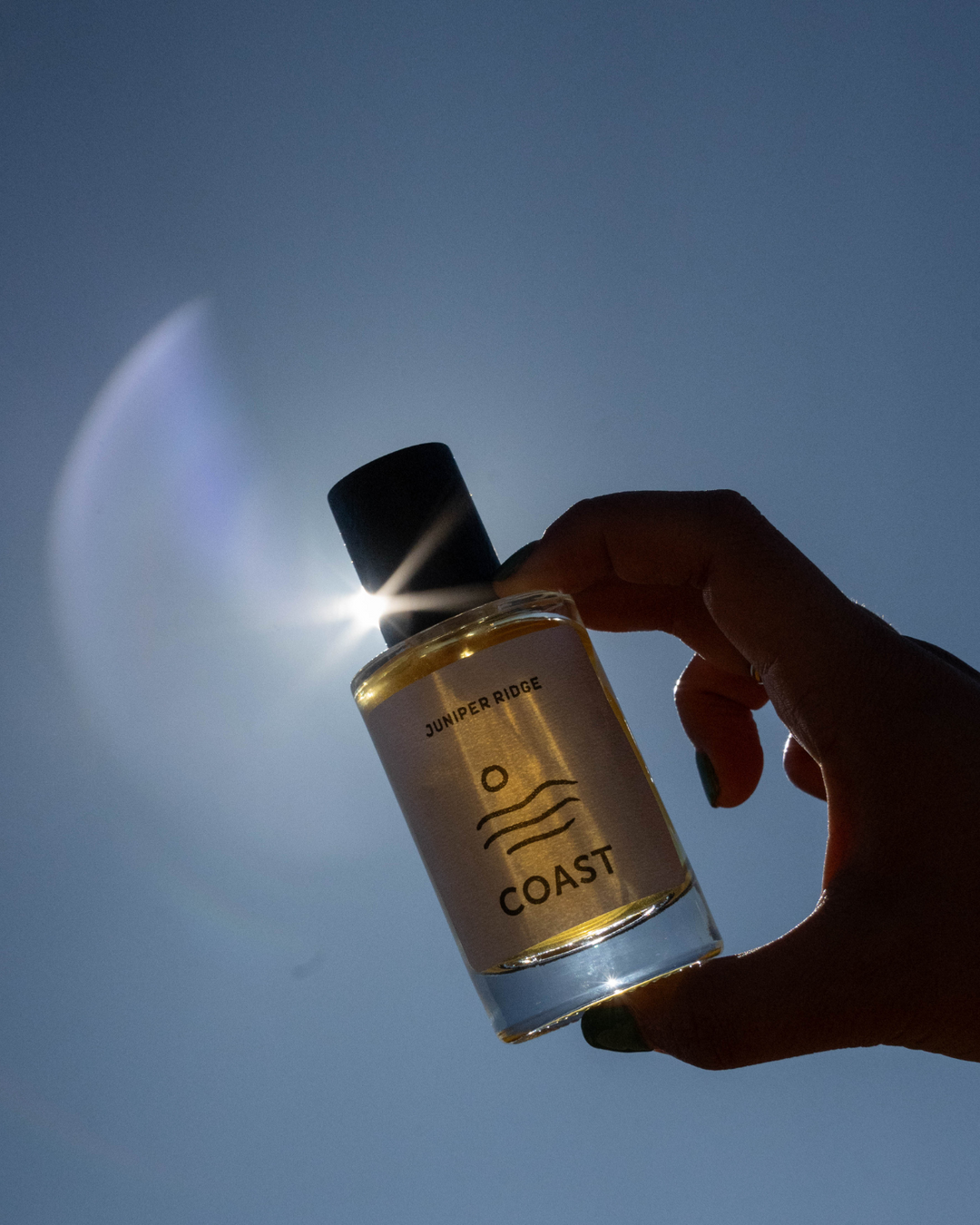 Coast Wilderness Cologne