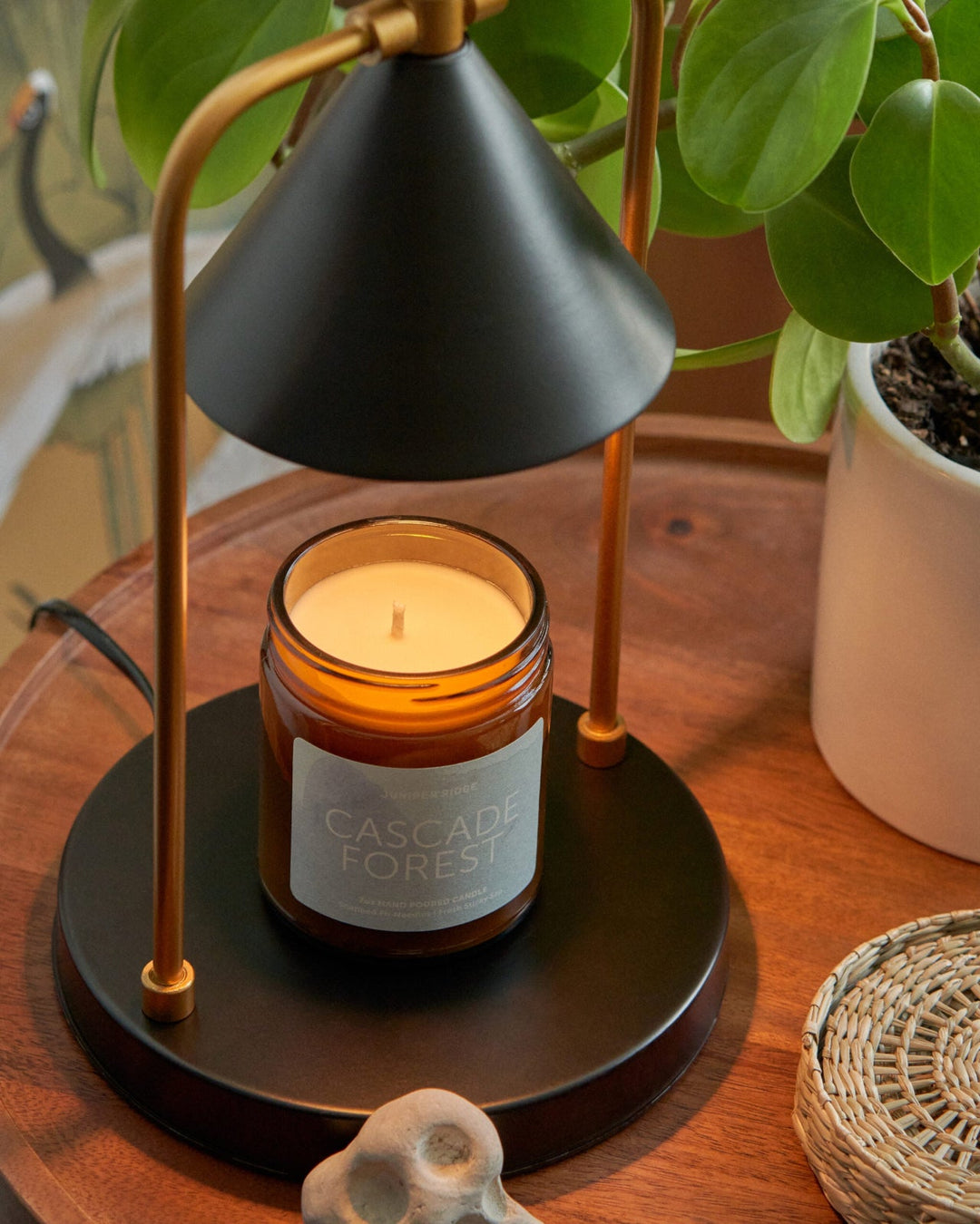 Cascade Forest Essential Oil Candle