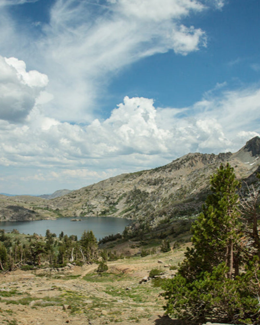 Bar Soap Full Flight
