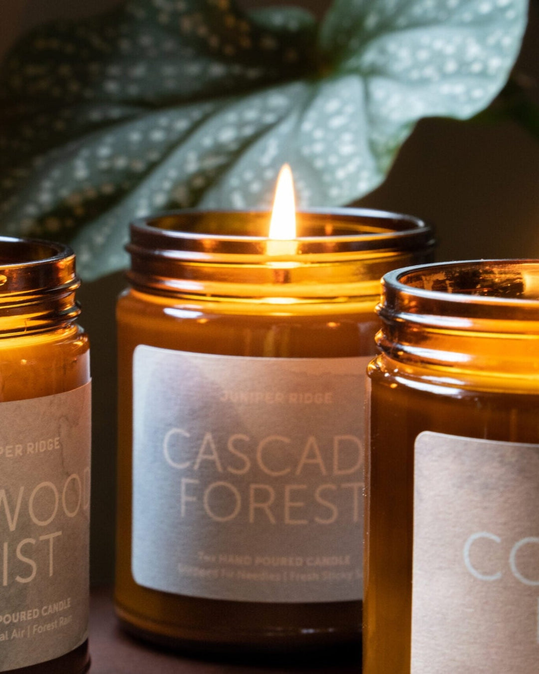 Cascade Forest Essential Oil Candle