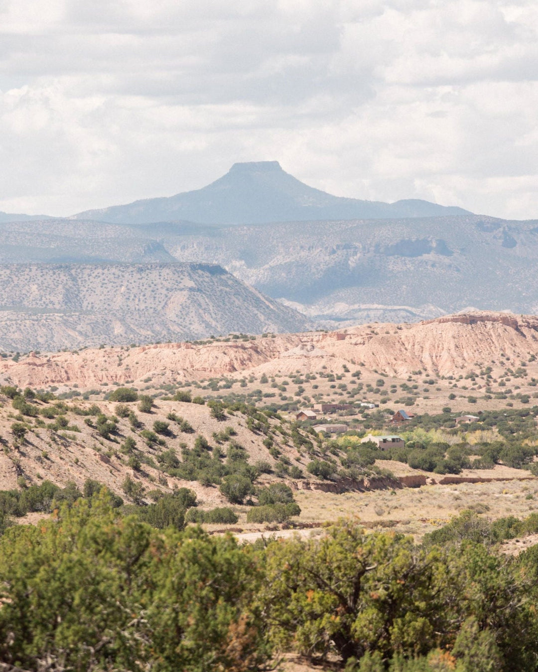 Desert Cedar Bar Soap 3-Pack