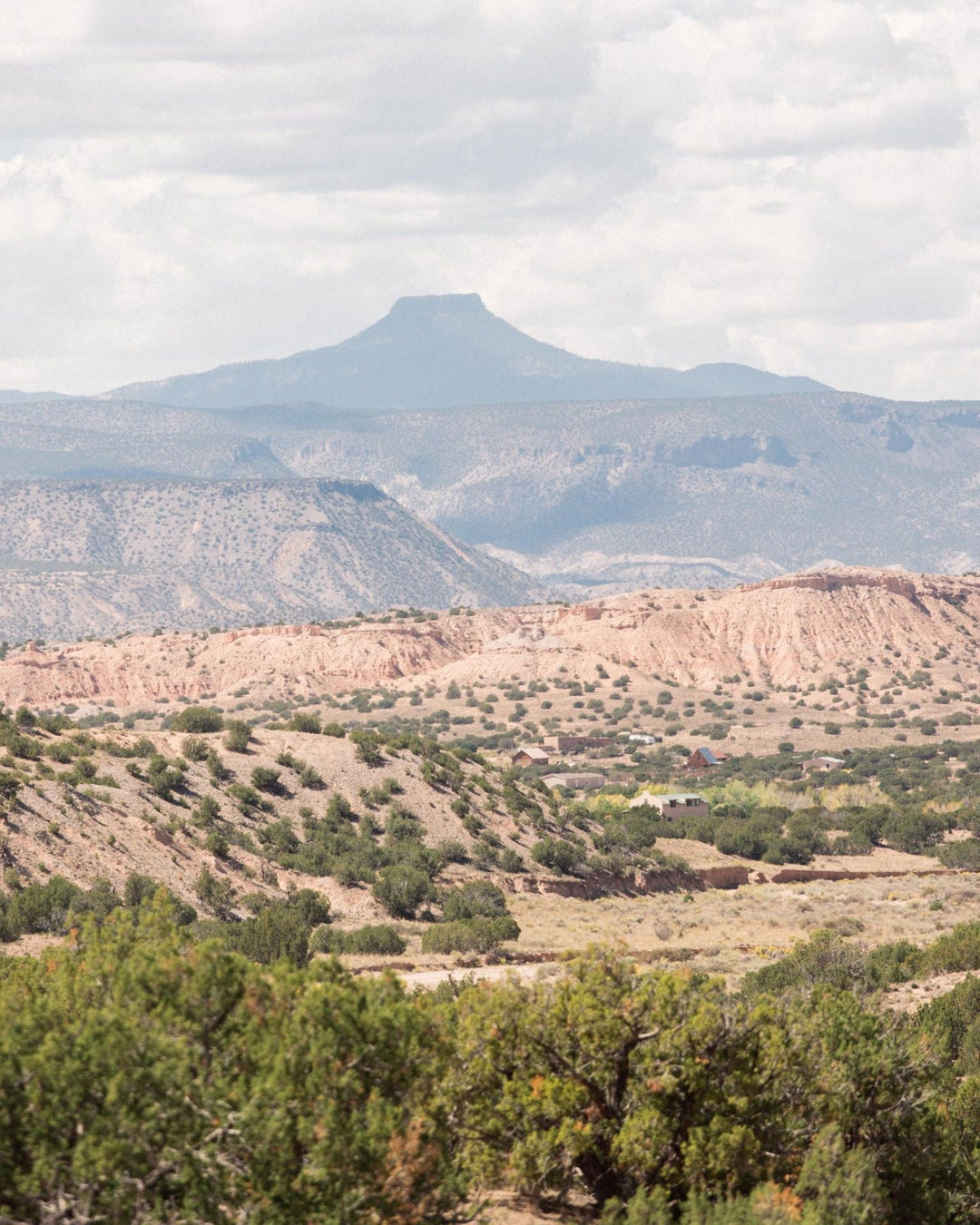 White Sage Campfire Incense (20 Sticks) 3-Pack