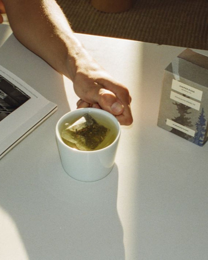 Douglas Fir Spring Tip Botanical Tea 3-Pack