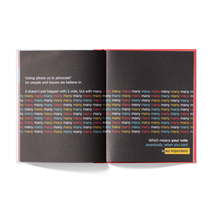 A Kids Book About Voting