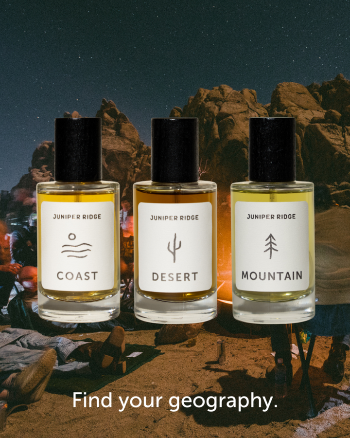 Coast Wilderness Cologne