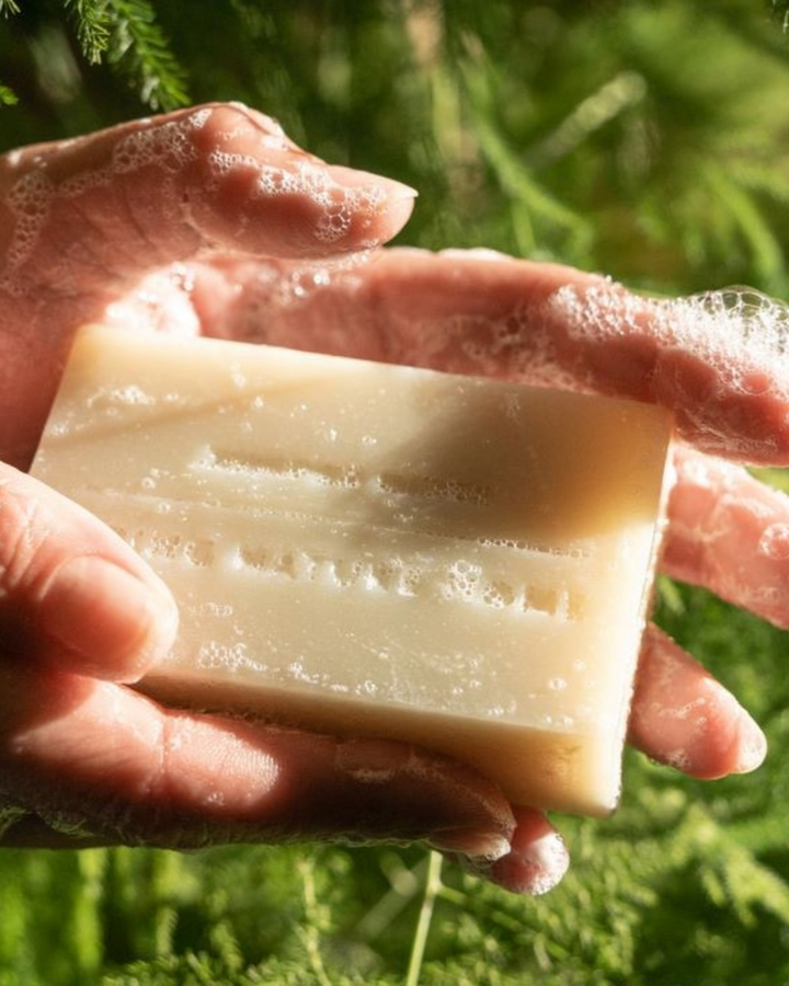 Coastal Pine Bar Soap