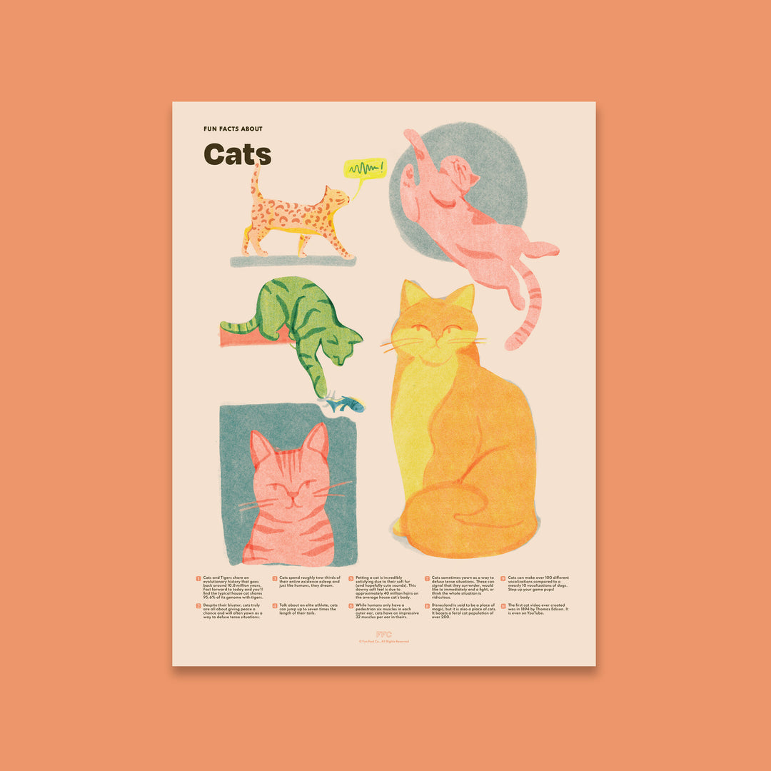 Cats Print