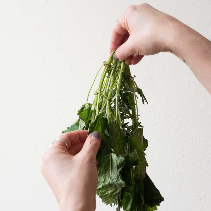 Herbal Hair Elixir