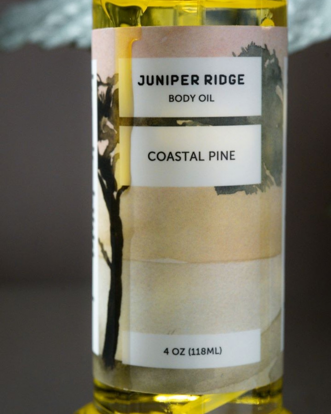 Coastal Pine Body Oil