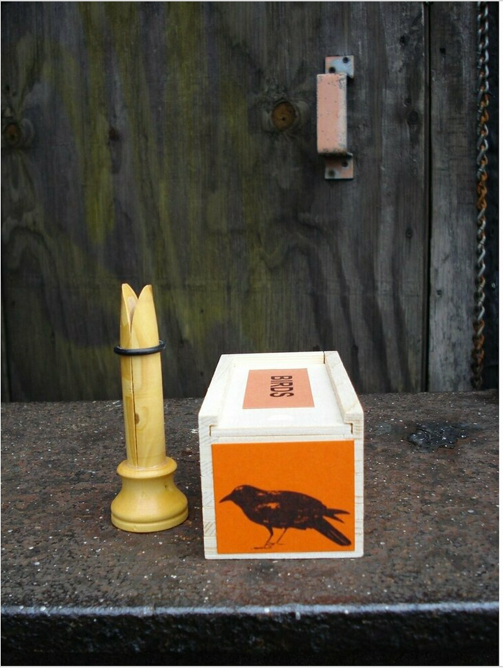 Bird Calls