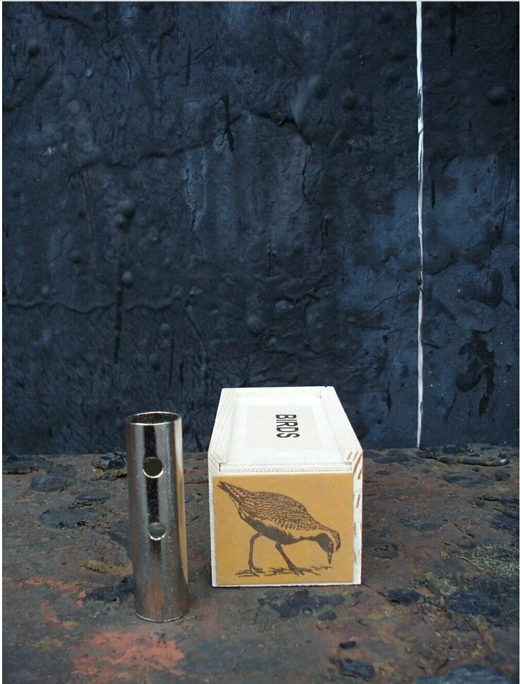Bird Calls