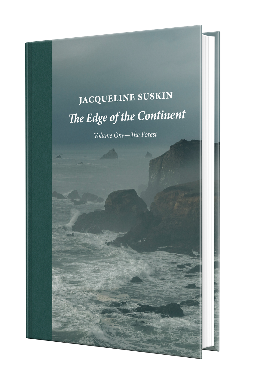 The Edge of the Continent (Signed) Jacqueline Suskin Solstice Holiday Pop Up 